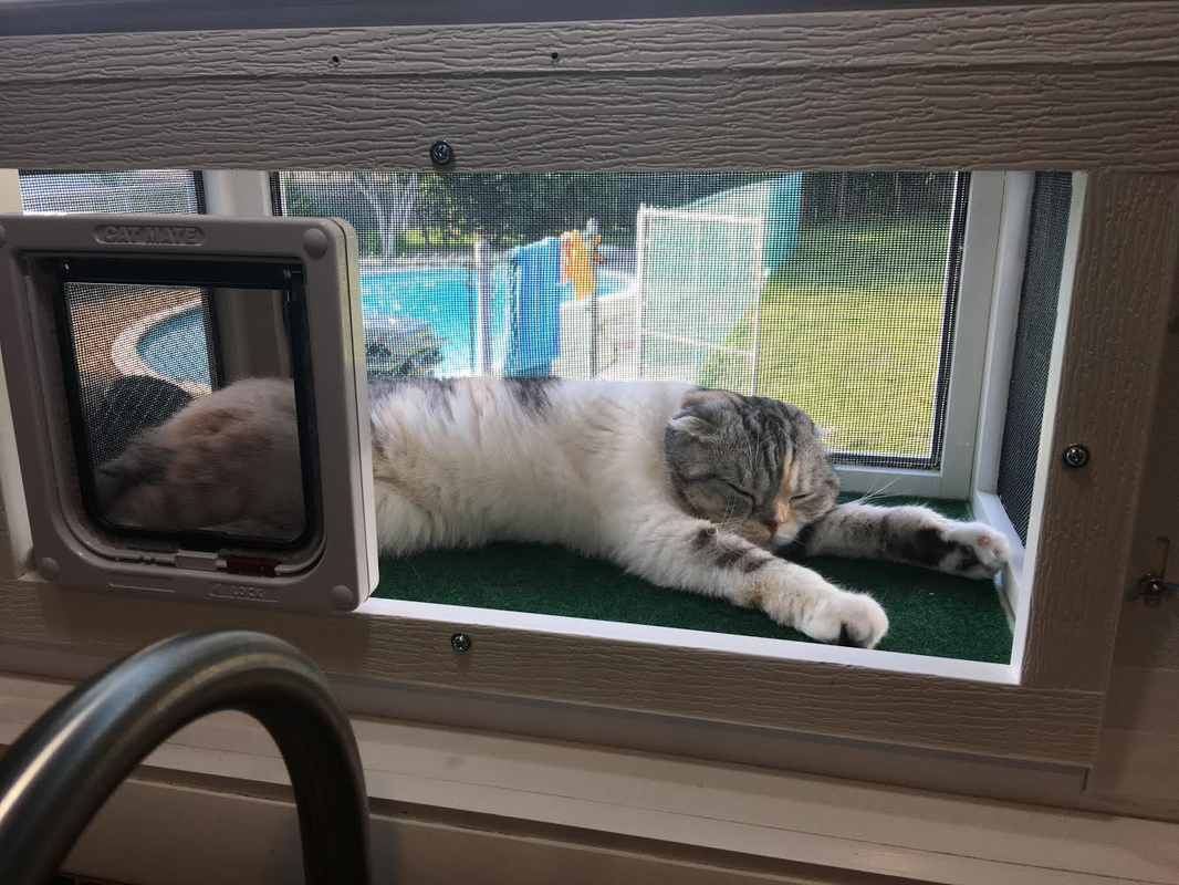 kitty door for window